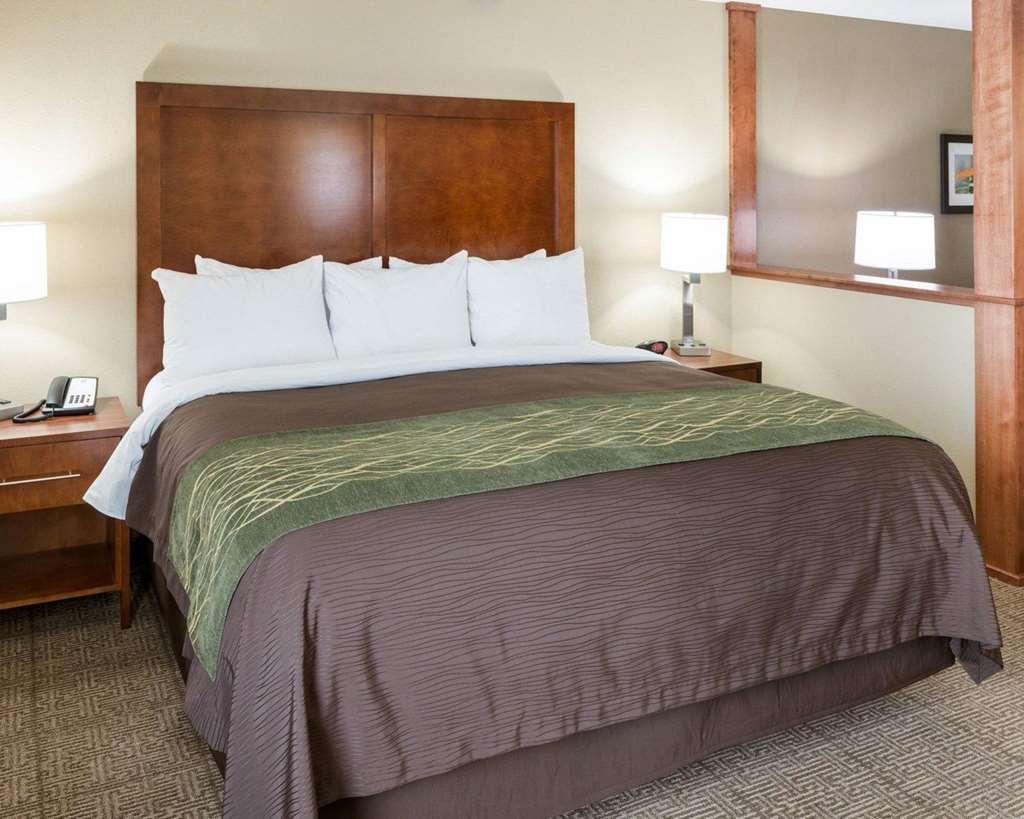 Comfort Inn & Suites West - Medical Center Rochester Bilik gambar