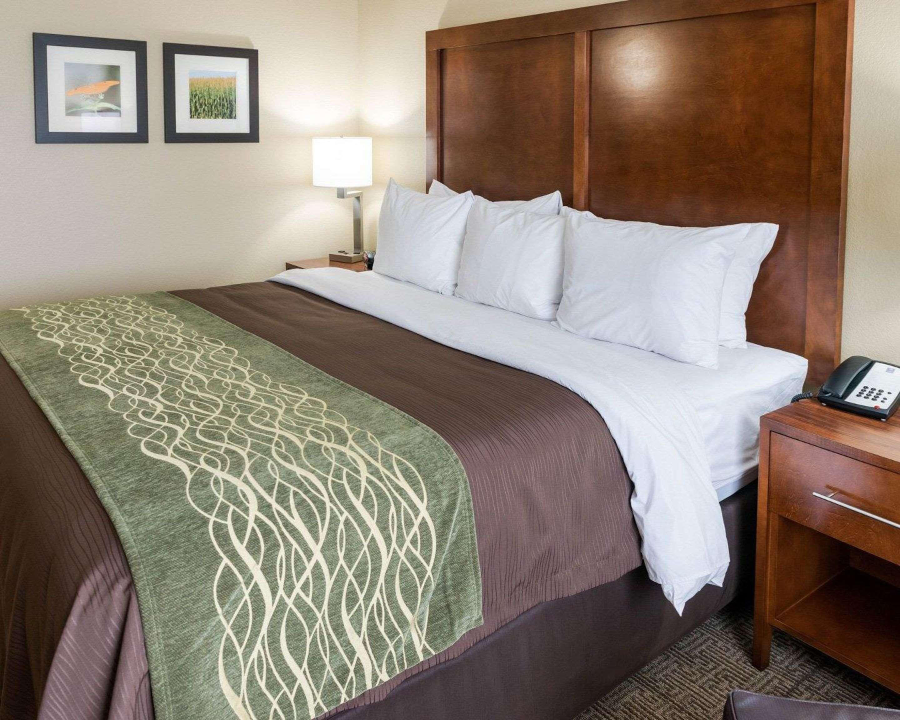Comfort Inn & Suites West - Medical Center Rochester Luaran gambar